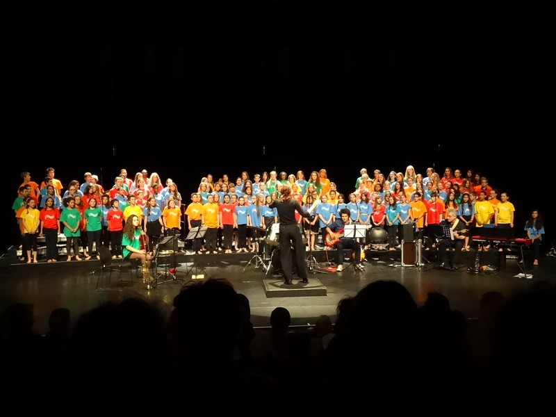 chorale ensemble 2015-5        